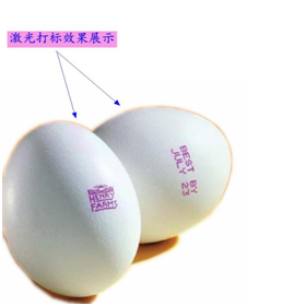 鸡蛋表面编码激光打标
